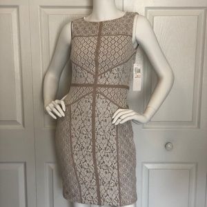 Maggy London Dress